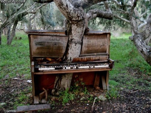 piano_tree.jpg