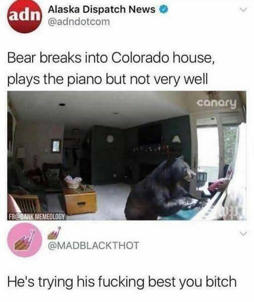 pianobear.jpg