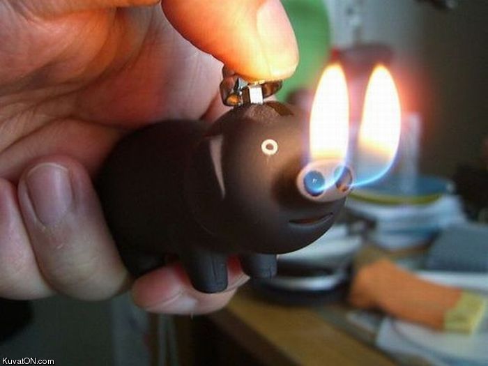 piggy_lighter.jpg