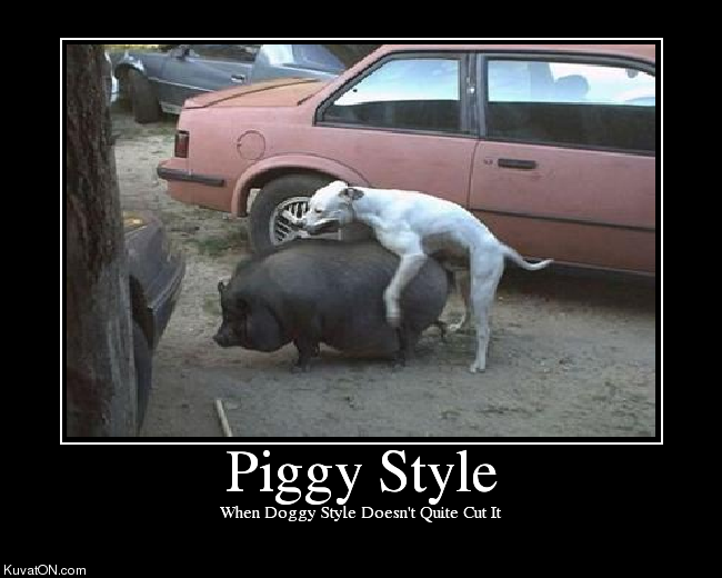 piggy_style_dog.png