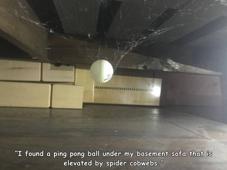 ping_pong_ball_.jpg