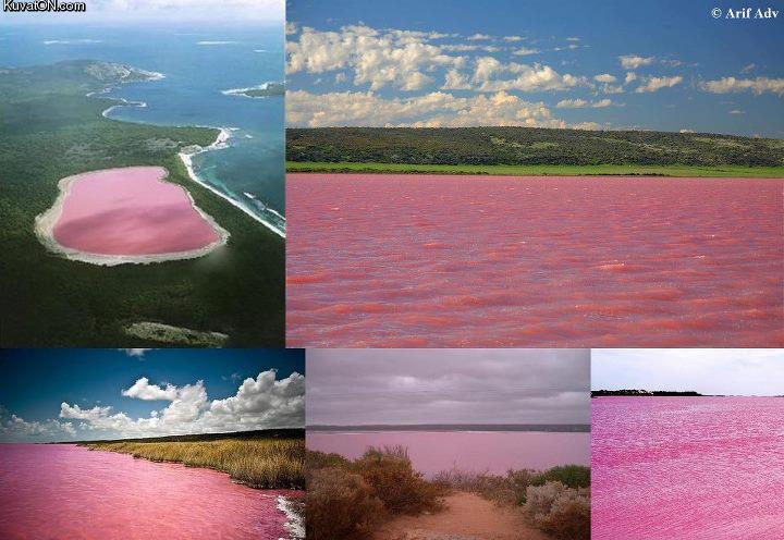 pink_lake.jpg