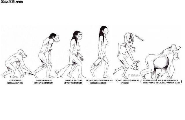pissis_evoluutio.jpg