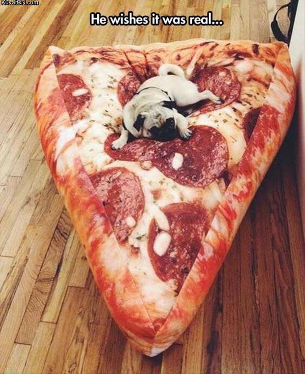 pizza_bed_2.jpg
