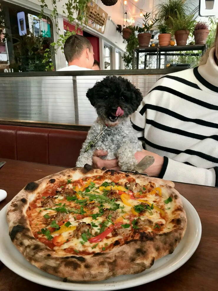 pizzaperjantai6.jpg