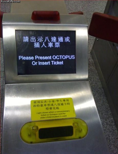 please_present_octopus.jpg