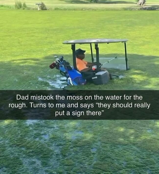 plumpss2.jpg