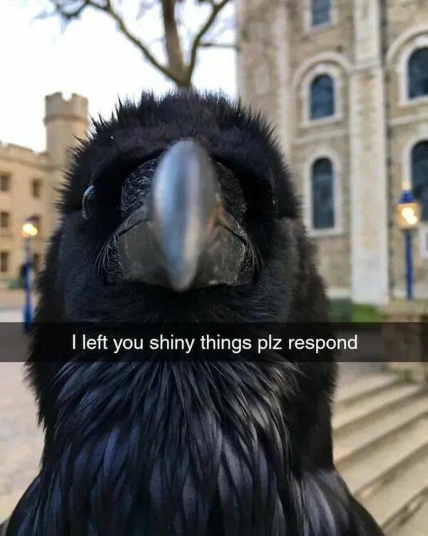 plz_now.jpg