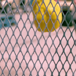 plöttssh.gif