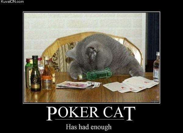 poker_cat2.jpg