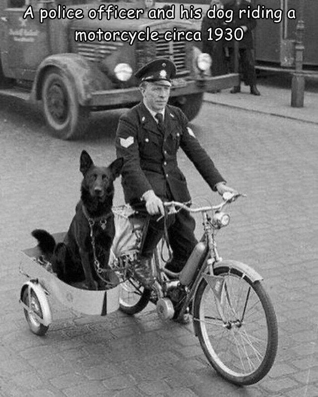 police_and_his_dog.jpg