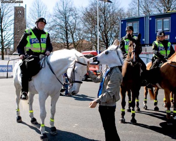 police_horse.jpg