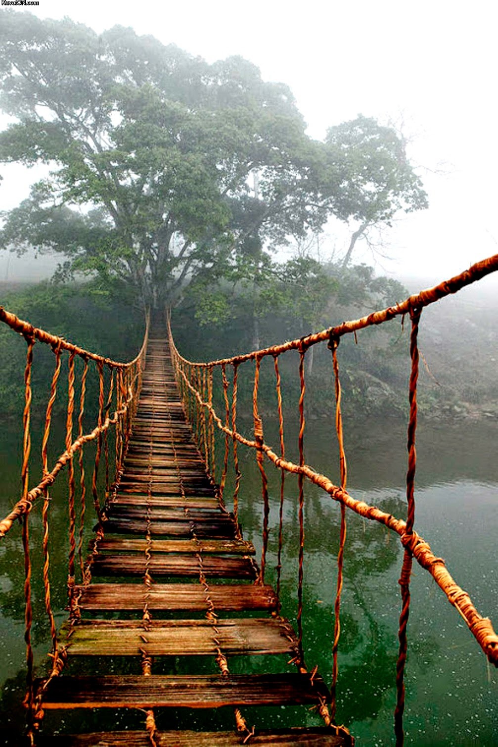 ponte_de_corda.jpg