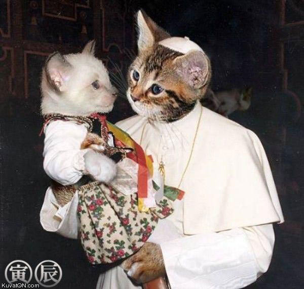 pope_cat.jpg