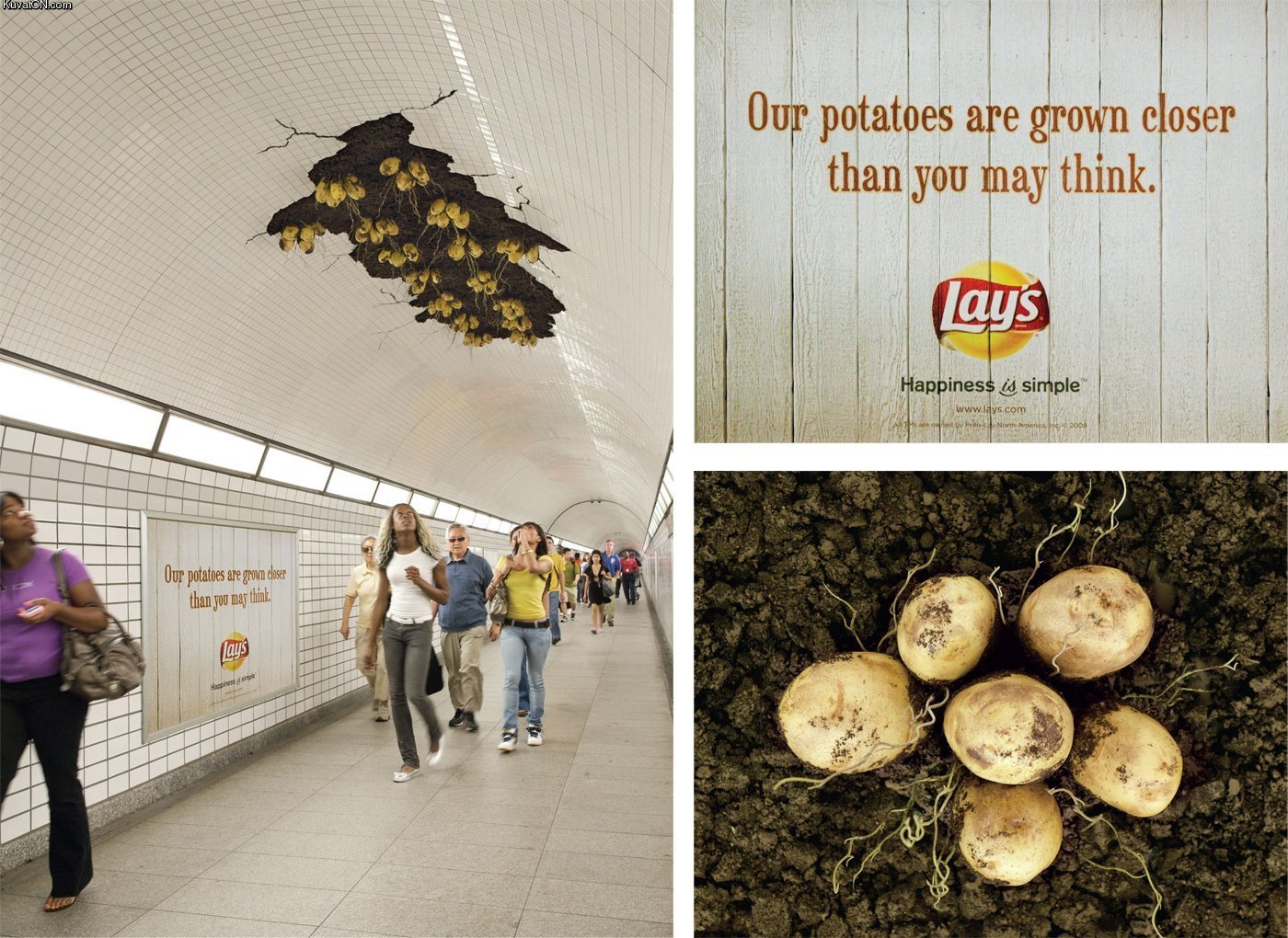 potatoes_ad.jpg