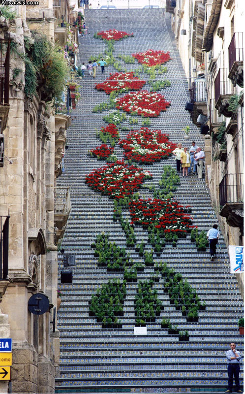 potted_plant_staircase_art.jpg