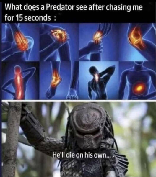 predator_perassa.jpg