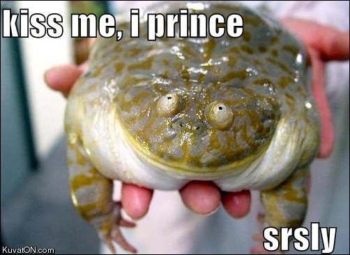prince_frog.jpg
