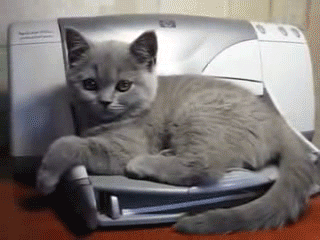 printer.gif