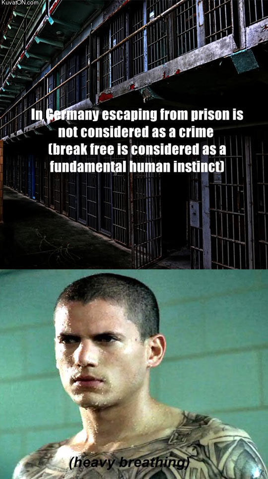 prison_break_in_germany.jpg