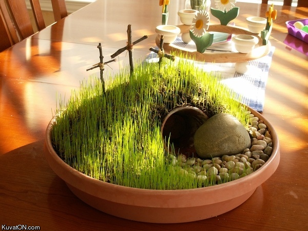 pro_easter_grass.jpg