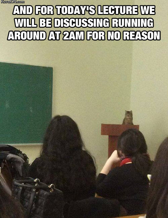 professor_kitty.jpg
