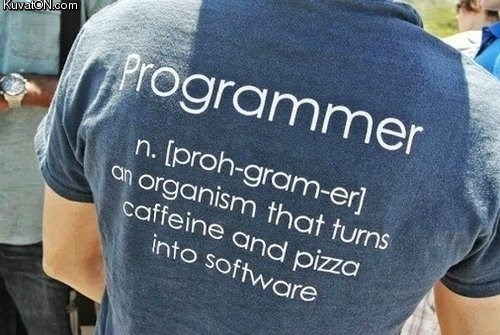 programmer.jpg