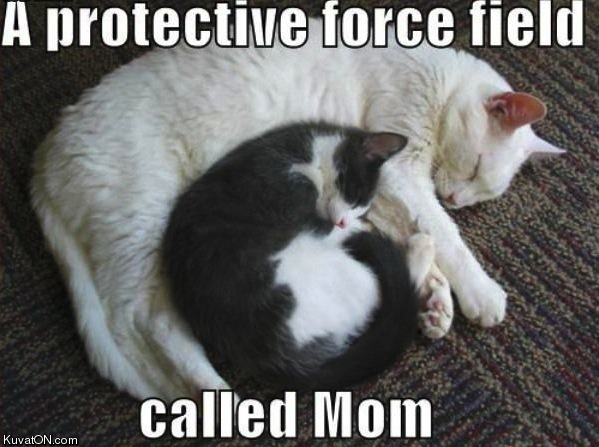 protective_force_field.jpg