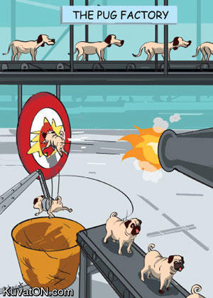 pug_factory.jpg