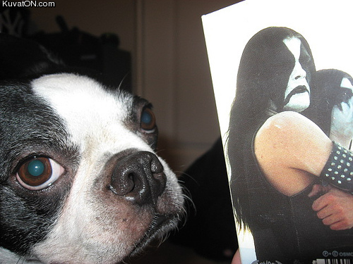 pug_vs_abbath.jpg