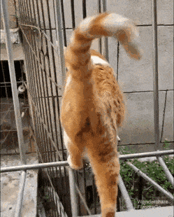 pujottelut2.gif