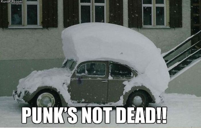 punk_is_not_dead.jpg