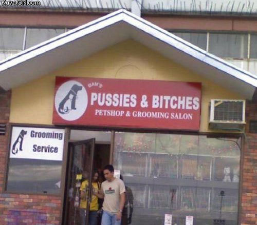 pussies_bitches.jpg
