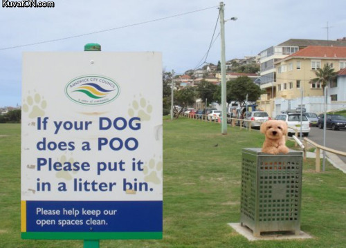put_your_dog_in_litter_bin.jpg