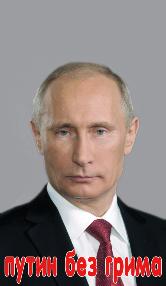 putin.gif
