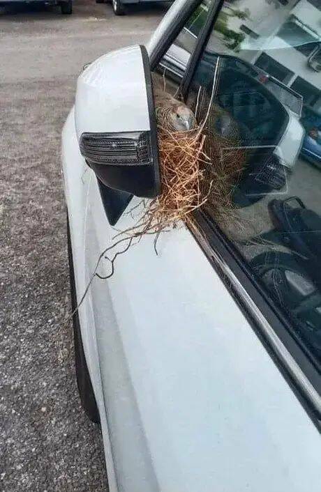 pyörällä_mentävä.jpg