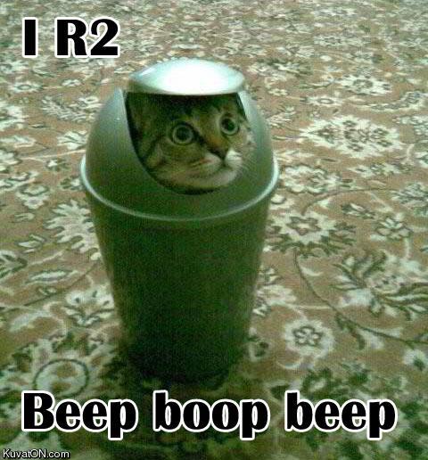 r2d2_cat.jpg