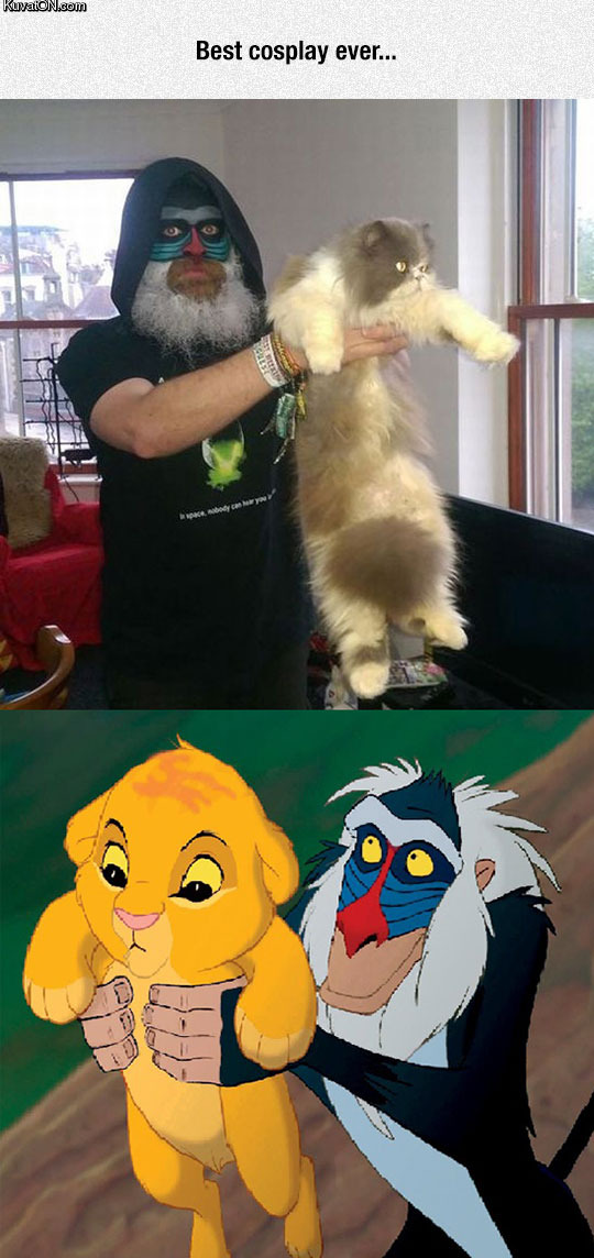 rafiki_holds_simba.jpg