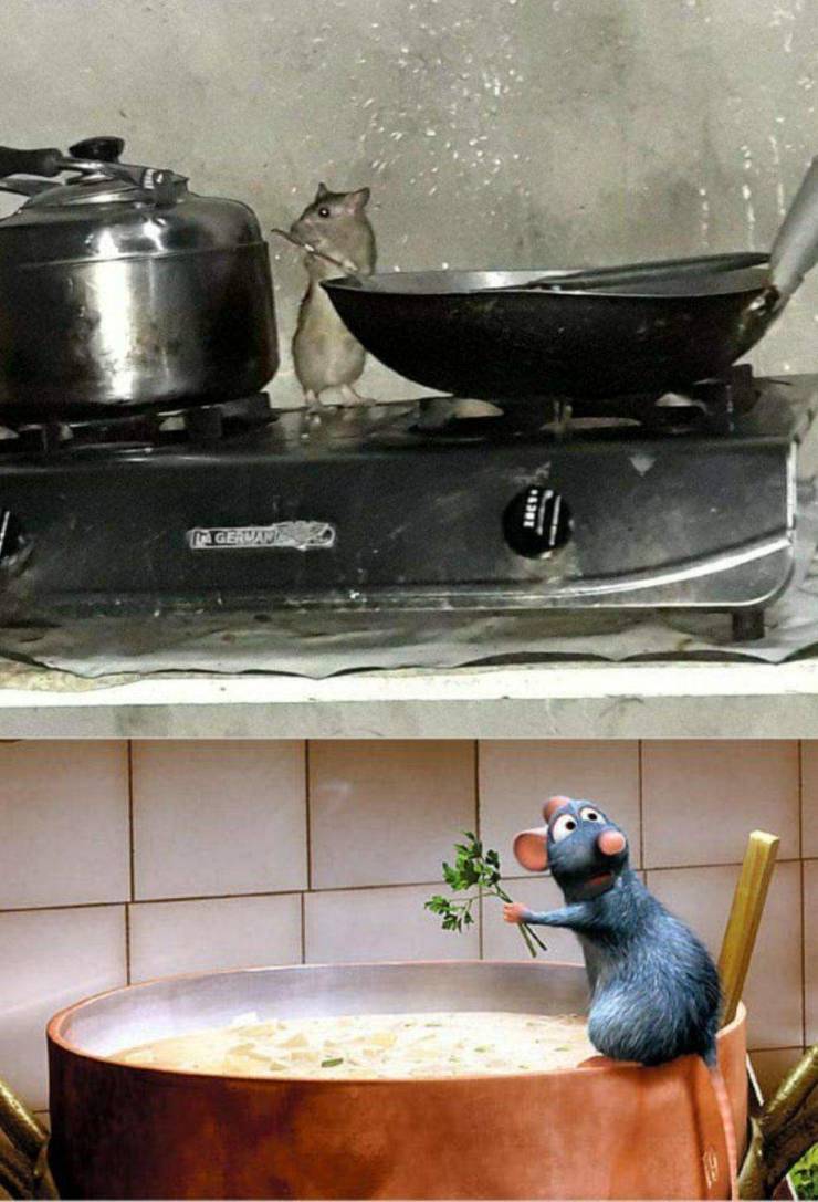 ratatouille.jpg