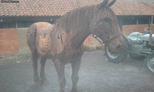 rautahevonen.jpg