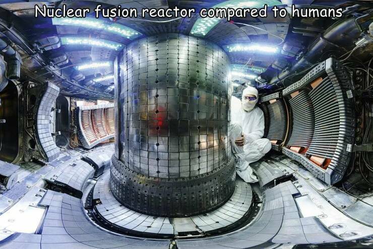 reactor.jpg