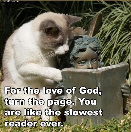 reader_cat.jpg