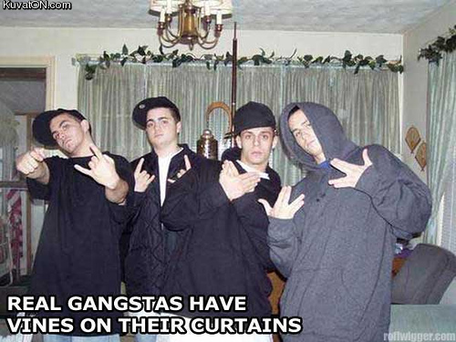 real_gangstas.jpg