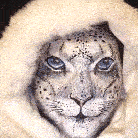 realistic_animal_makeup.gif