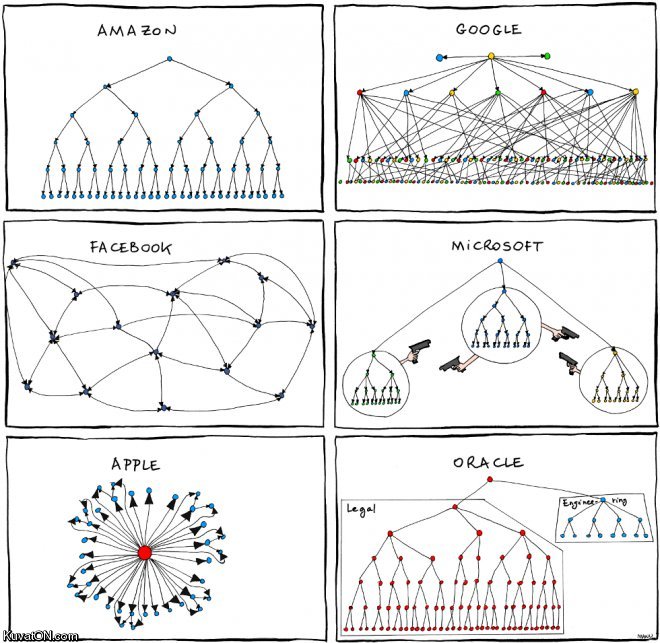 reducing_orgs_down_to_charts.jpg