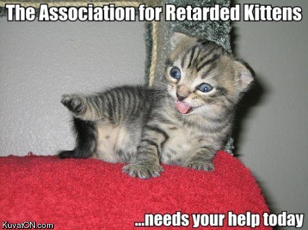 retarded_kittens.jpg
