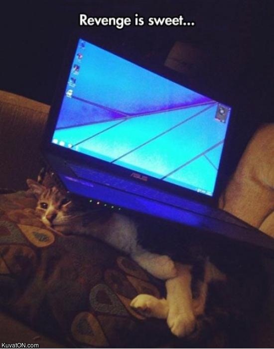 revenge3.jpg
