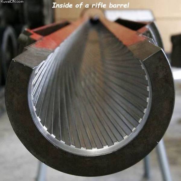 riflebarrel.jpg
