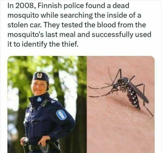 rikosratkaistu.jpg