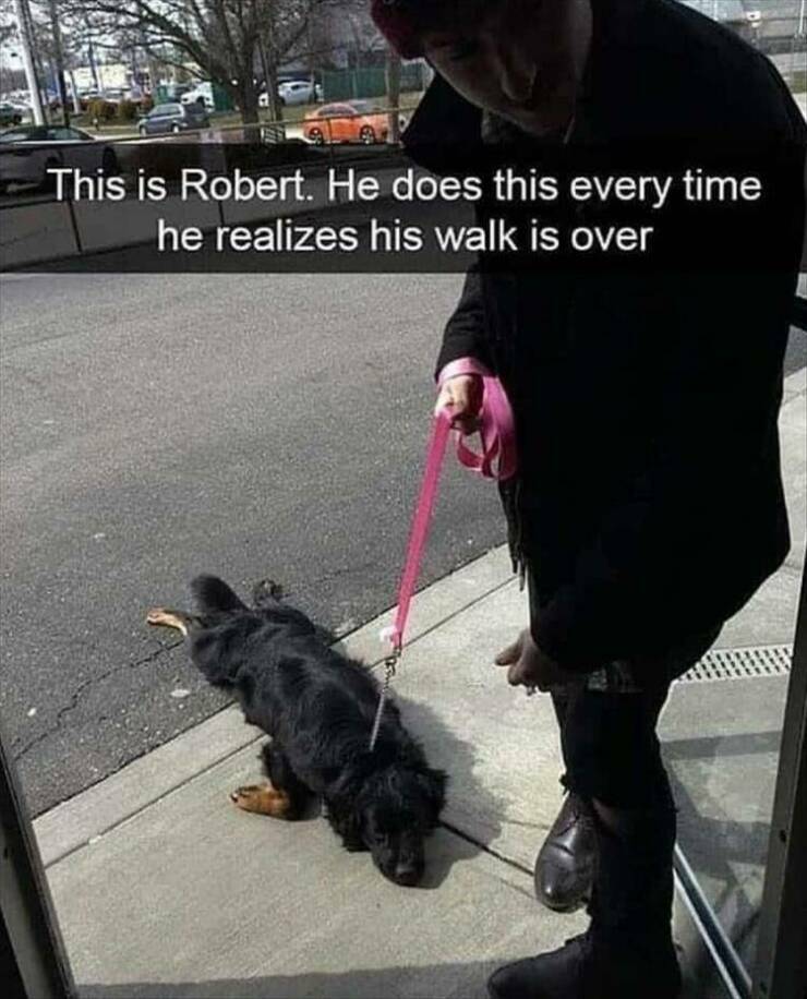 robert2.jpg